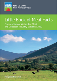 Little Book of Meat Facts 2022: cover