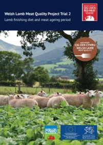 Welsh Lamb Meat Quality Trial 2