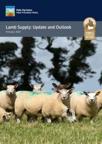 Lamb Supply: Update and Outlook: cover