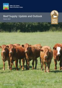 2023 Beef Supply Update: cover
