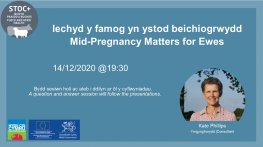 Mid-pregnancy Matters Webinar