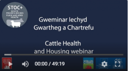 Cattle Health and Housing Webinar