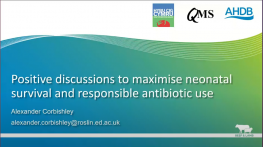Positive discussions to maximise neonatal survival and responsible antibiotic use