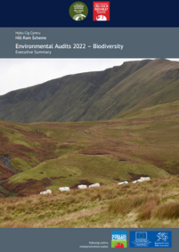 Environmental Audits 2022 – Biodiversity