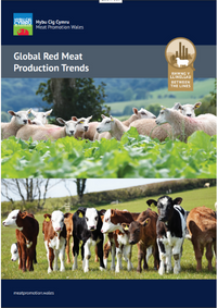 Global Red Meat Production Trends: cover