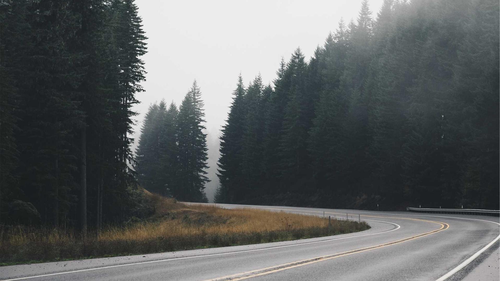 Image of misty road with trees either side