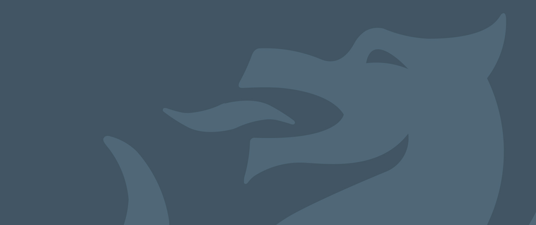 grey dragon placeholder image