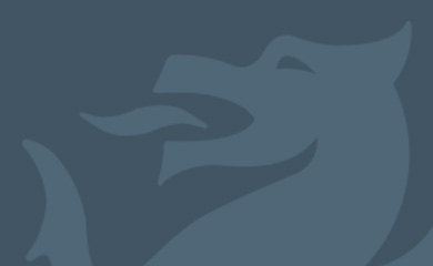 grey dragon placeholder image