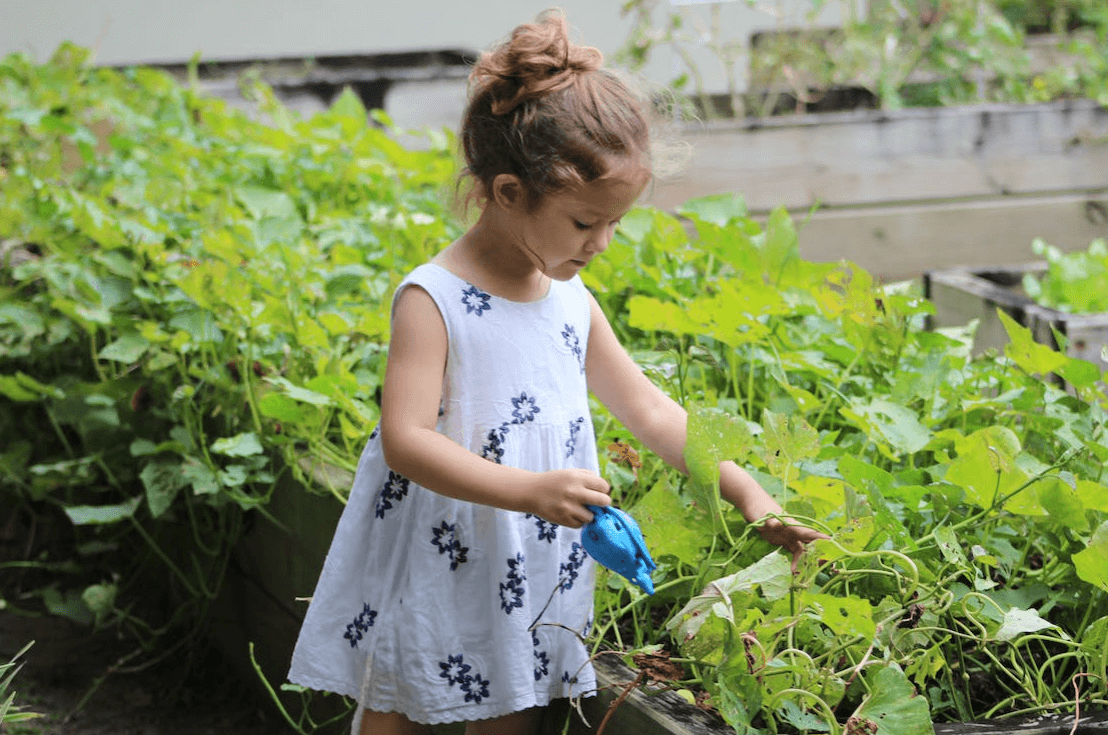 Young girl gardening