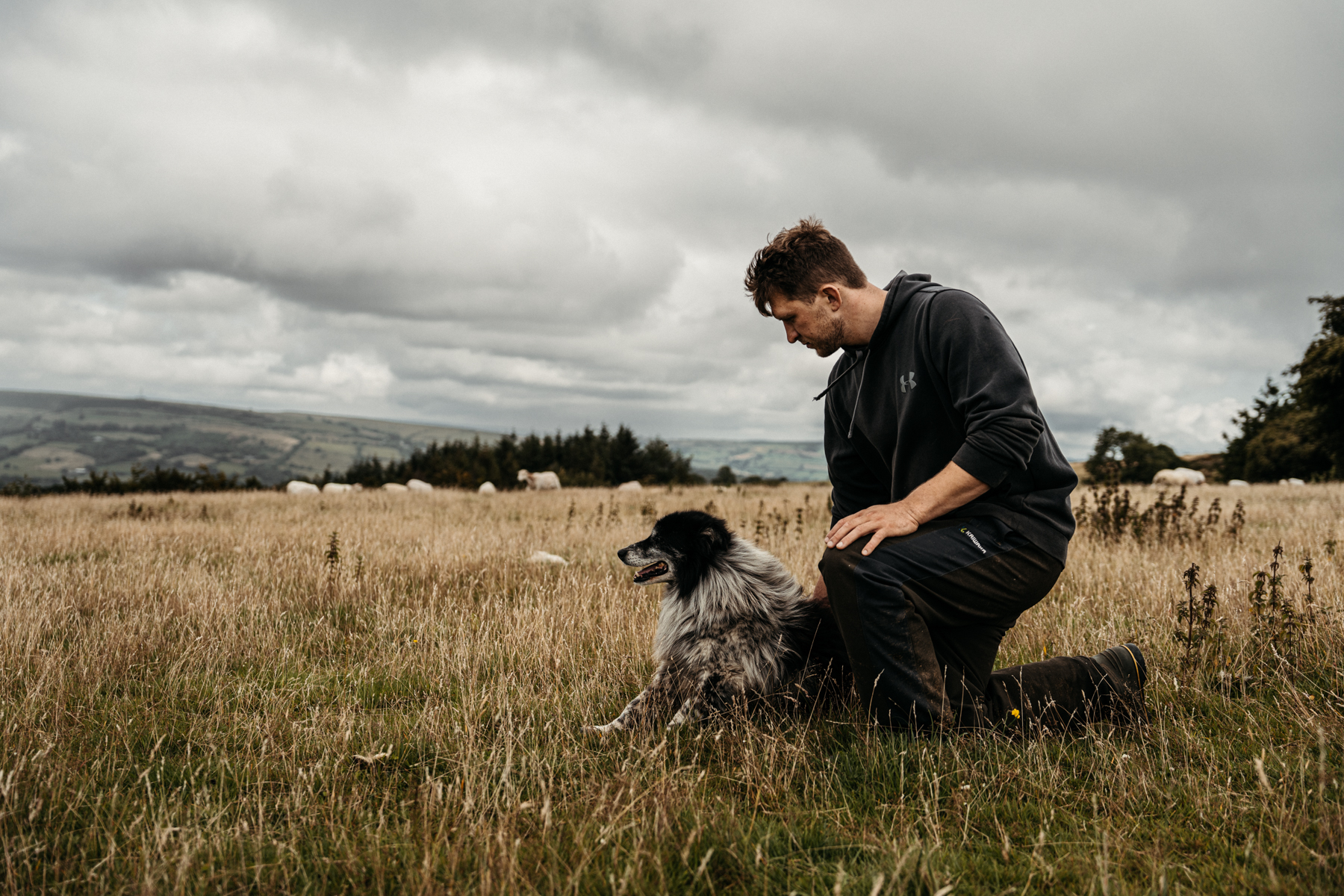 Ymgyrch HCC yn rhoi canlyniadau da