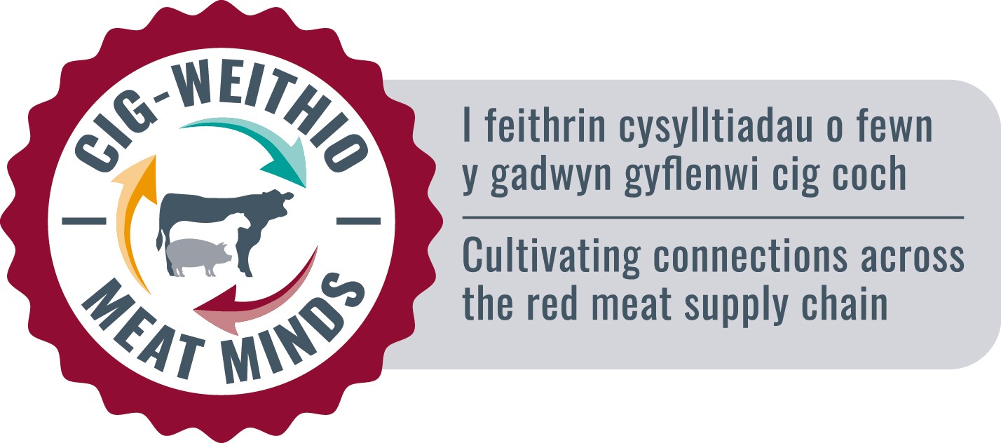 HCC yn lansio rhaglen ‘Cig-weithio’ ac yn chwilio am aelodau ar draws y gadwyn gyflenwi
