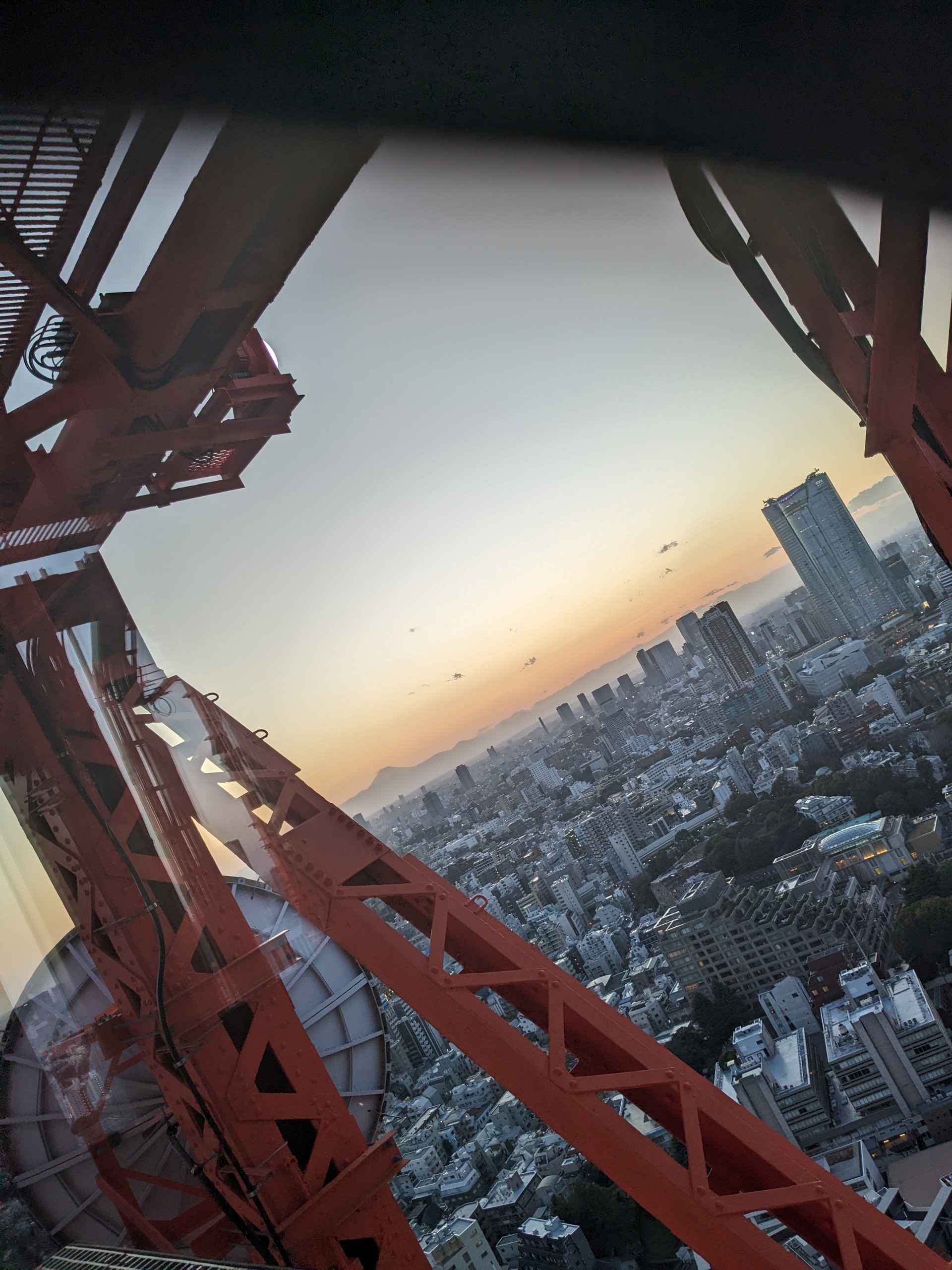 FoodEx  &#8211;  It’s quiet. It’s organised. It’s coordinated