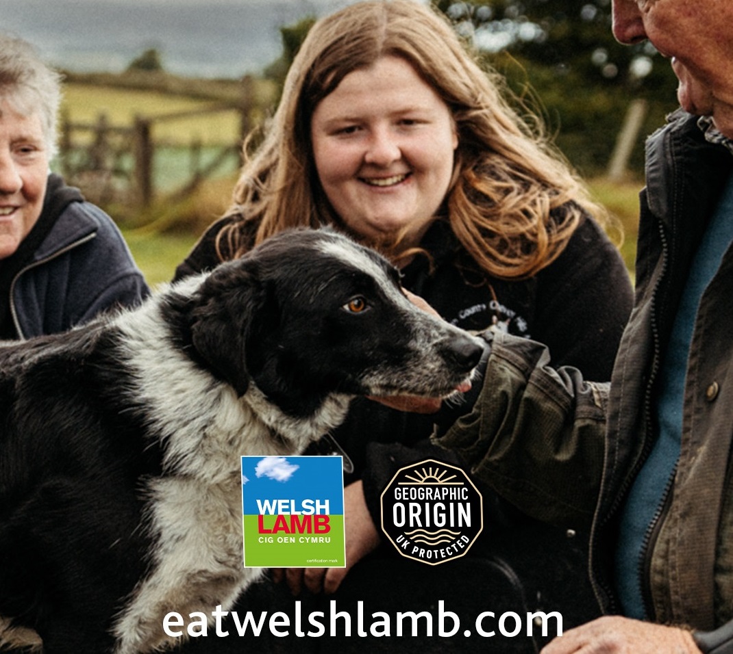 2024 PGI Welsh Lamb campaign launched at Royal Welsh Show