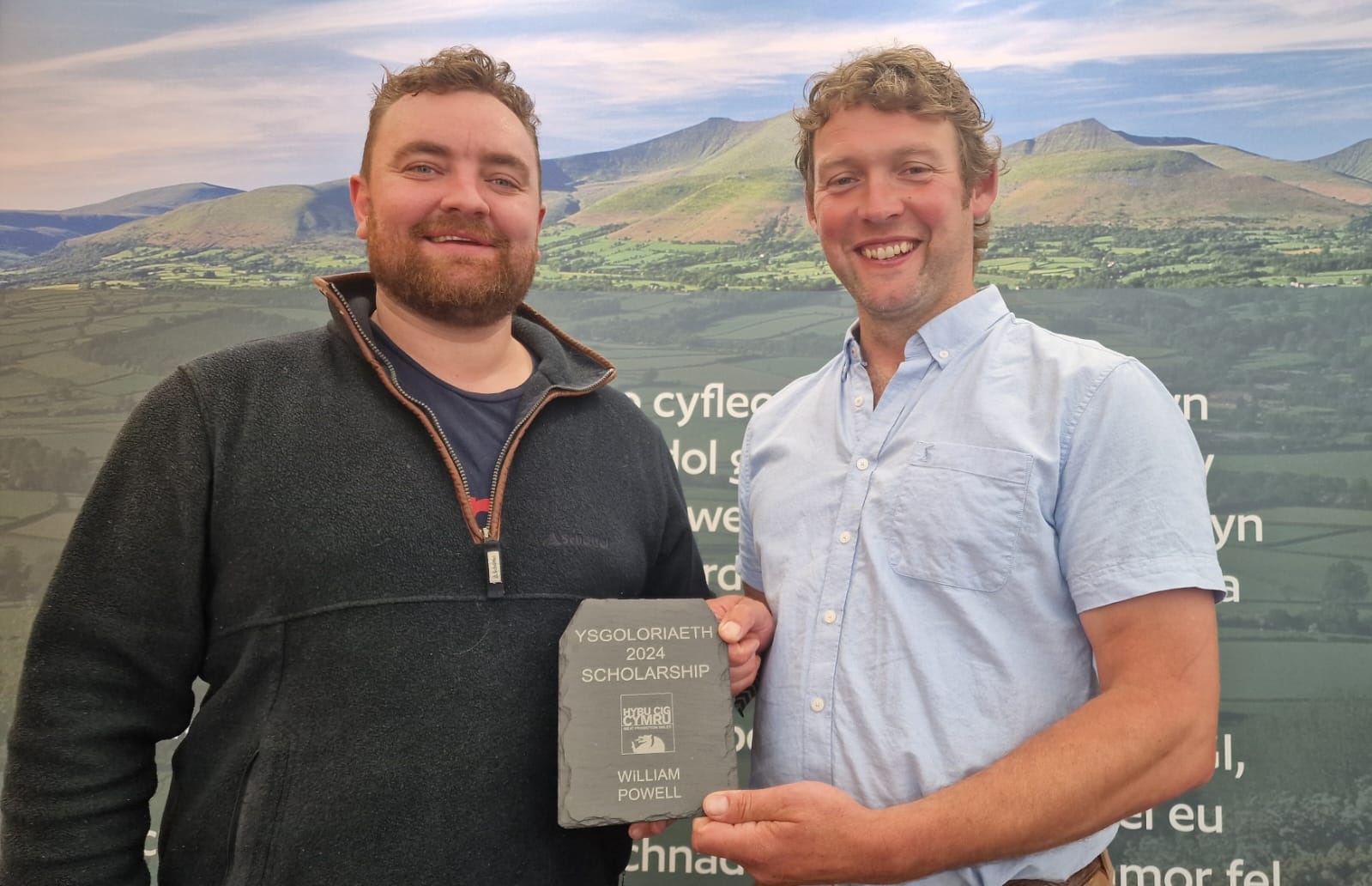 HCC Scholar seeks to change the reputation of the suckler cow