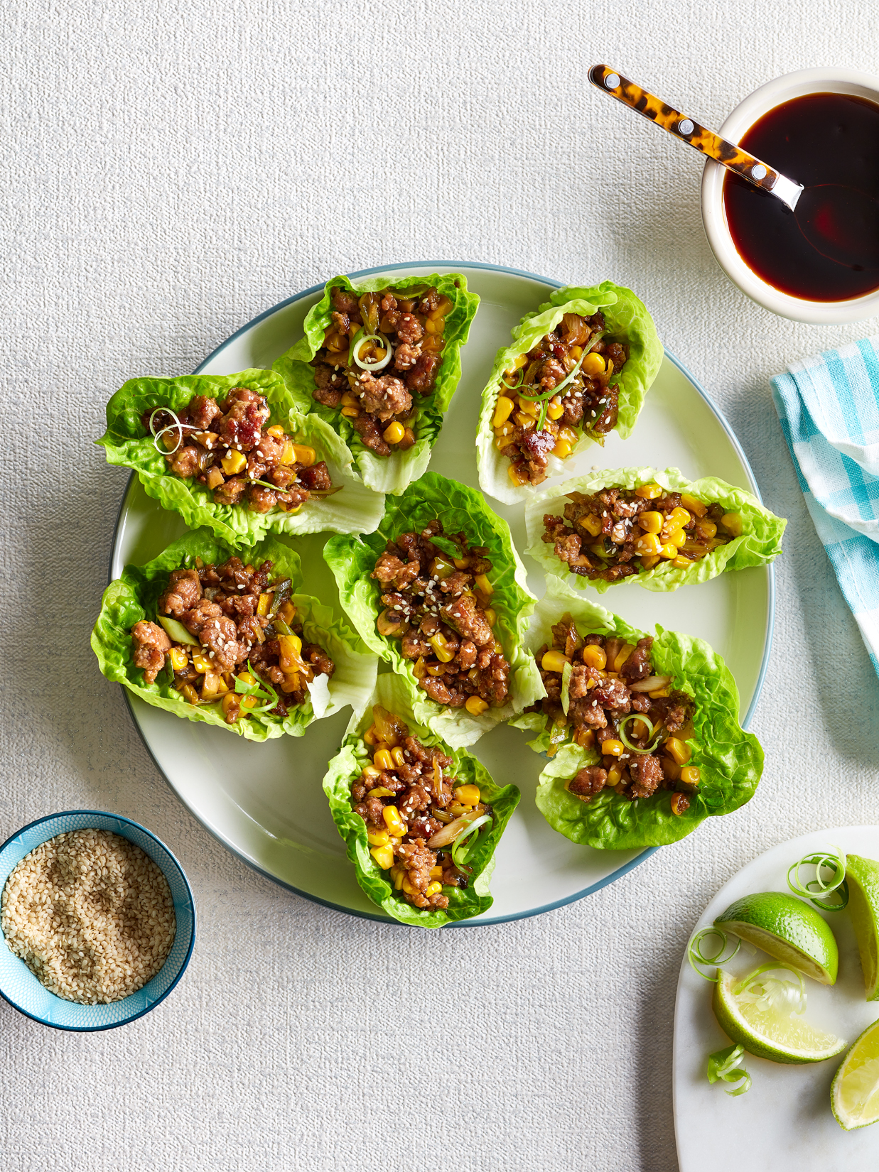 HCC highlight health credentials of Welsh Lamb and Welsh Beef in Healthy Child magazine