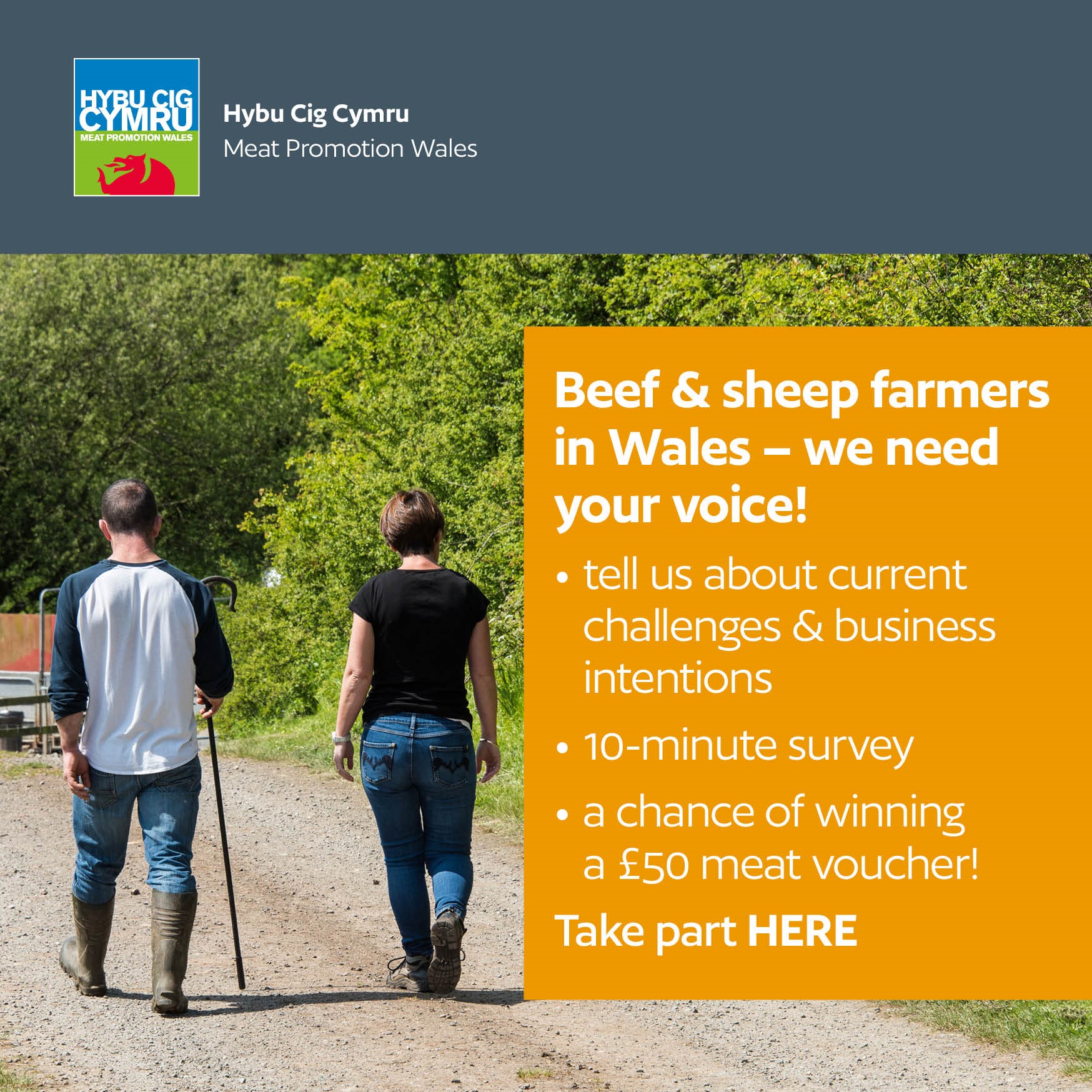 Farmers urged to voice their views in red meat sector survey