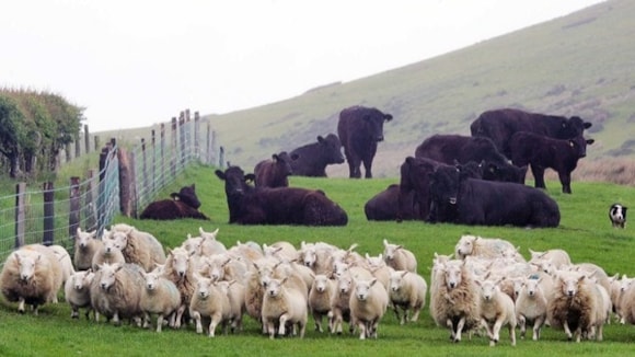 Welsh farmers wanted to help navigate the path to net zero