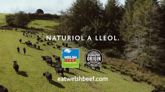 Neges ‘Naturiol a Lleol’ yn parhau’n berthnasol ar gyfer Cig Eidion Cymru