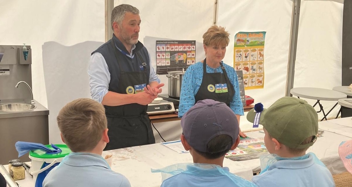 HCC at NSA Welsh Sheep