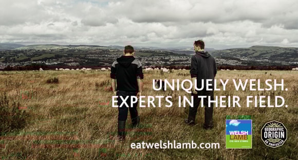 Expert in his field – Jonathon Fox Davies join HCC’s Welsh Lamb campaign