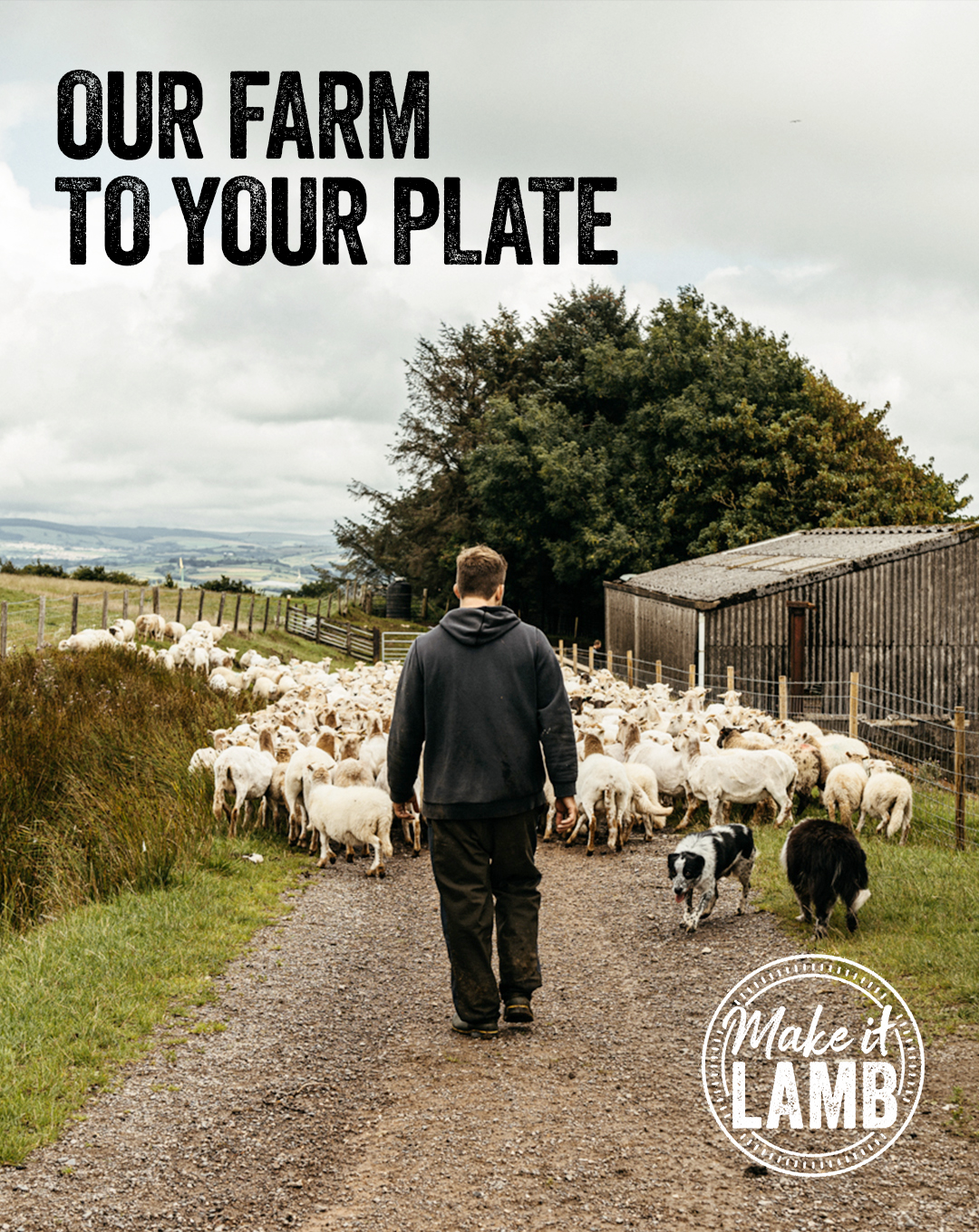 Industry collaborates to see Love Lamb Week take centre stage from 1-7 September in its 10th year