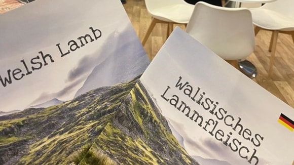 HCC take Welsh Lamb and Welsh Beef to Anuga trade fair