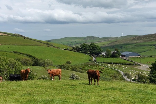 Environmental baselining project seeks proactive producers