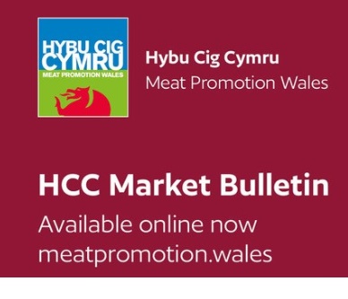 An analysis of sheep sector trends