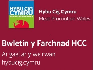 Dadansoddi tueddiadau’r sector defaid