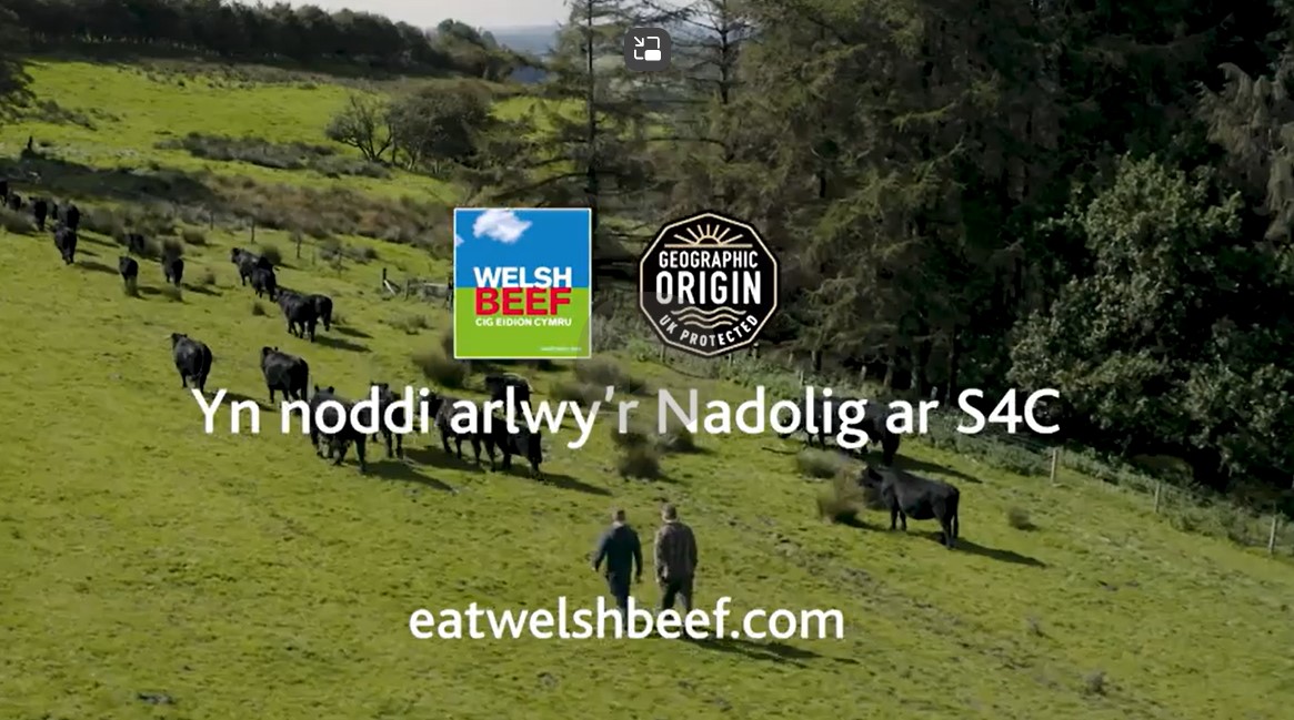 HCC partners with S4C for Christmas