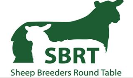 Sheep Breeders Round Table 2026 – save the date!
