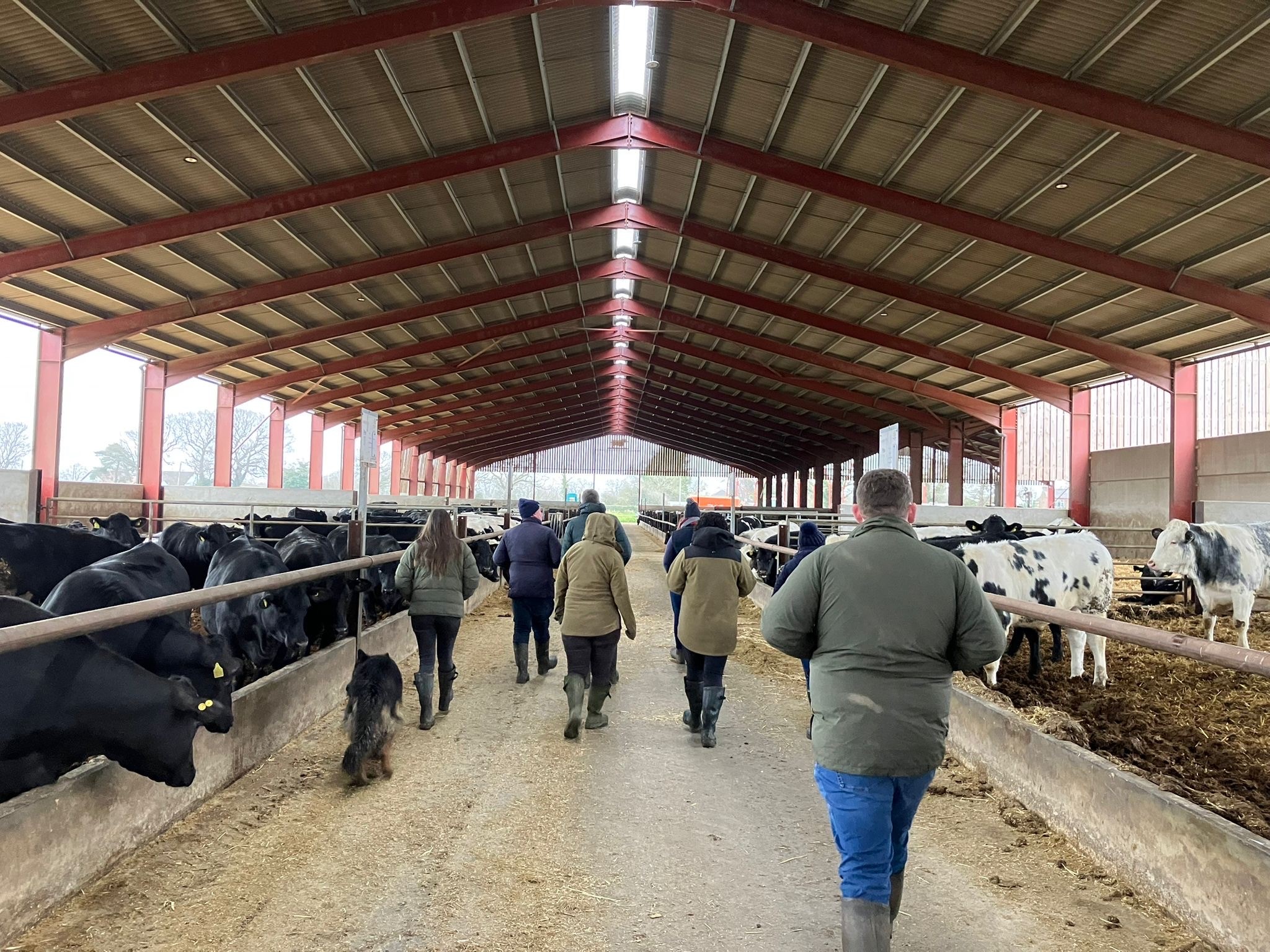 Meat Minds explore beef genetics