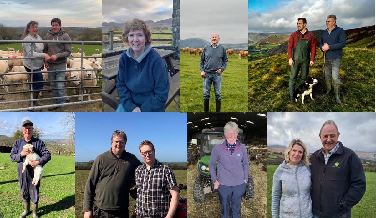 Welsh livestock farms join pioneering environmental pilot