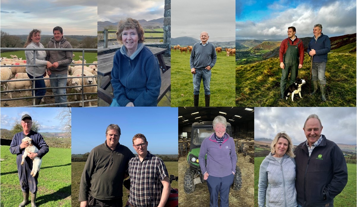 Welsh livestock farms join pioneering environmental pilot