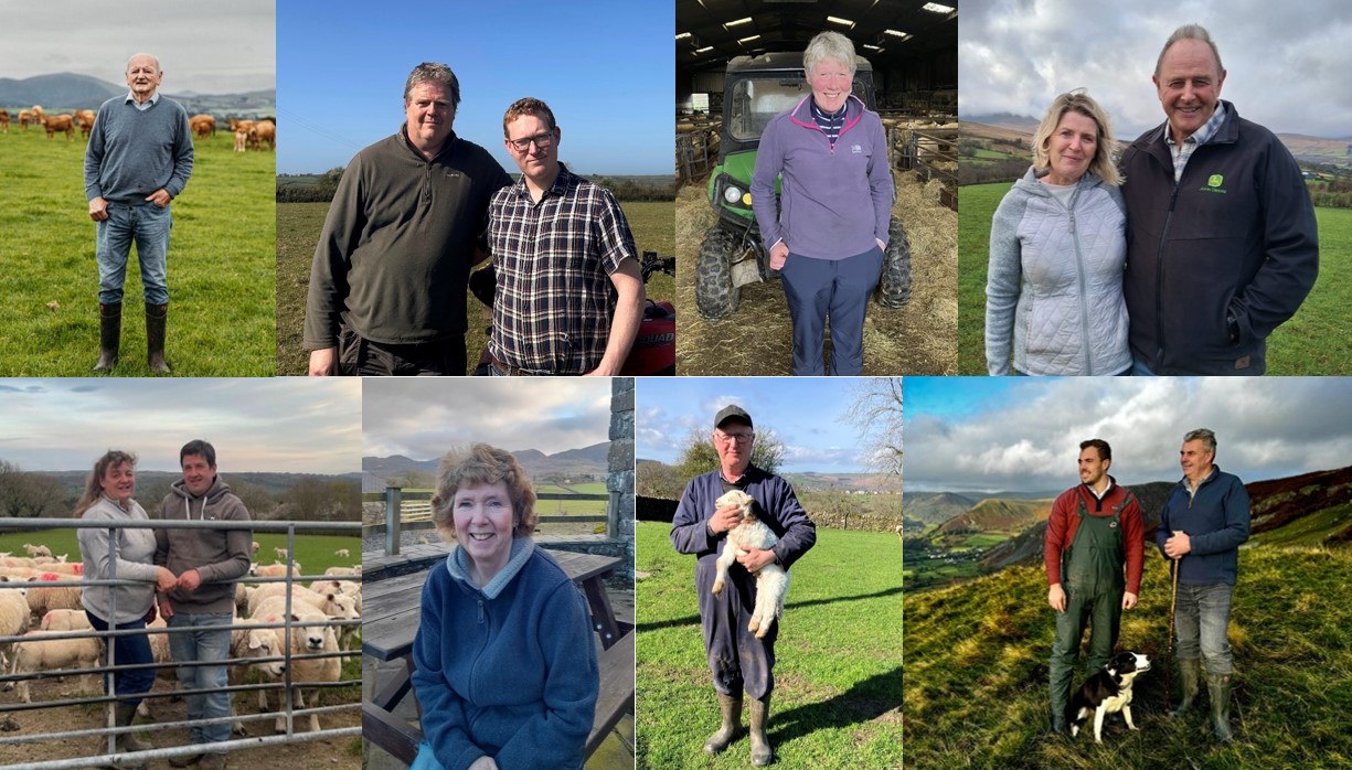 Welsh livestock farms join pioneering environmental pilot