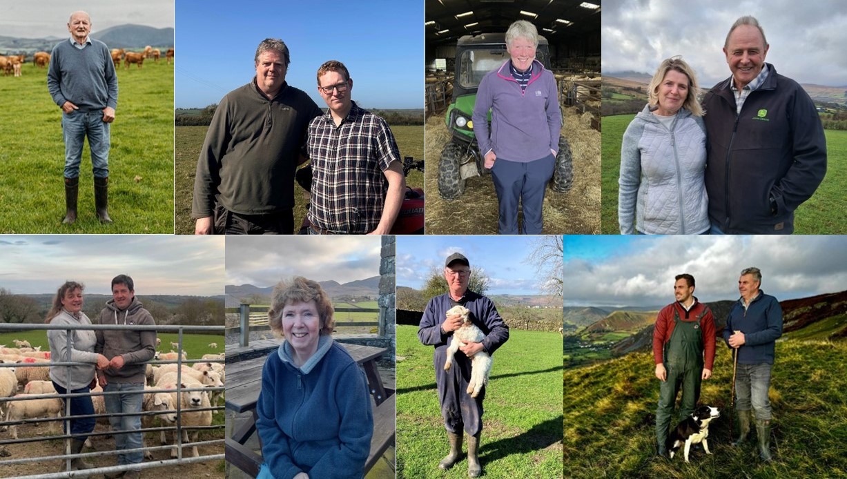 Welsh livestock farms join pioneering environmental pilot